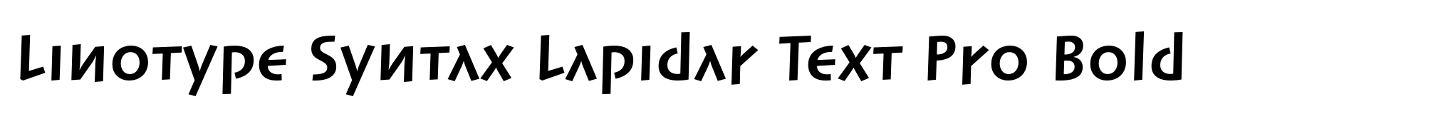 Linotype Syntax Lapidar Text Pro Bold image
